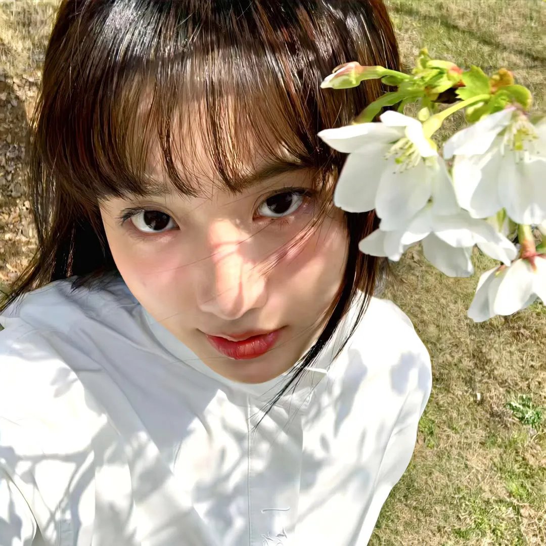 绿林怪杰